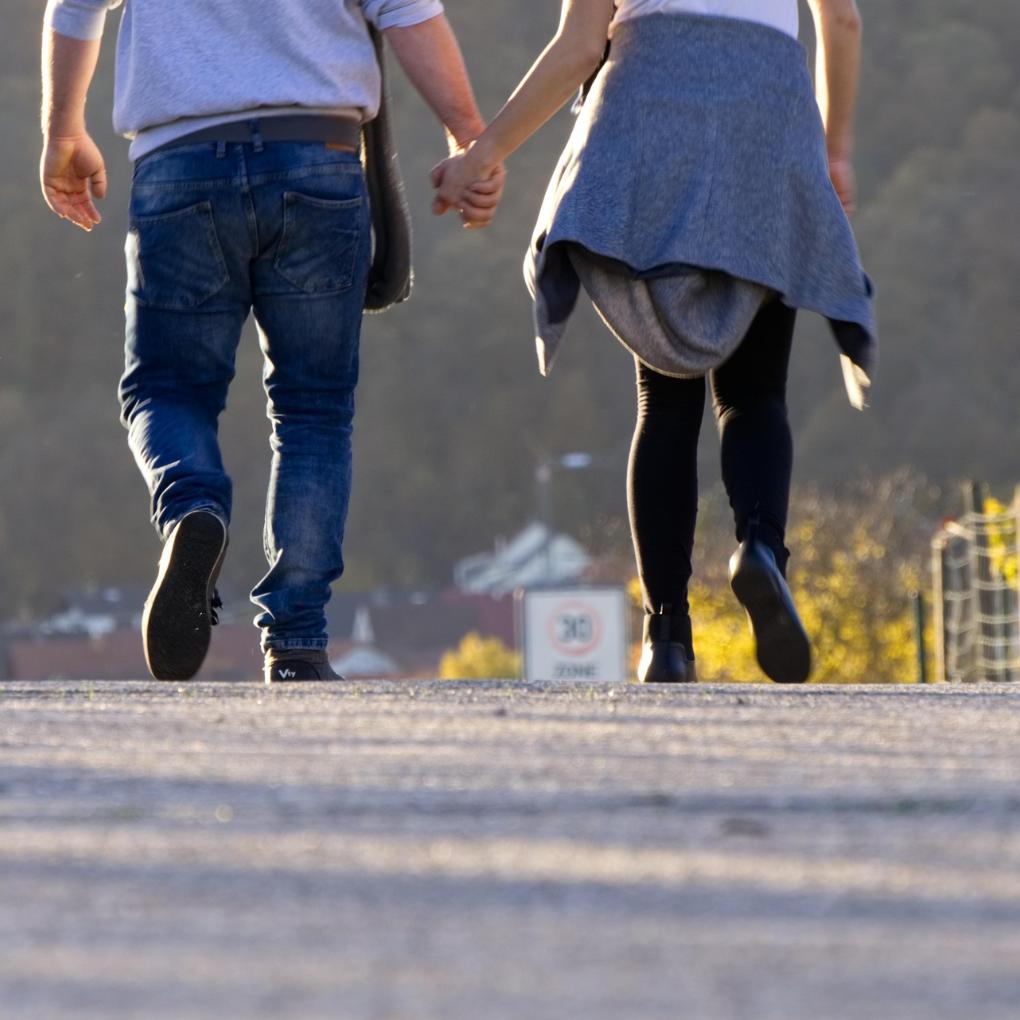 distelapparath-few-3862343_1920