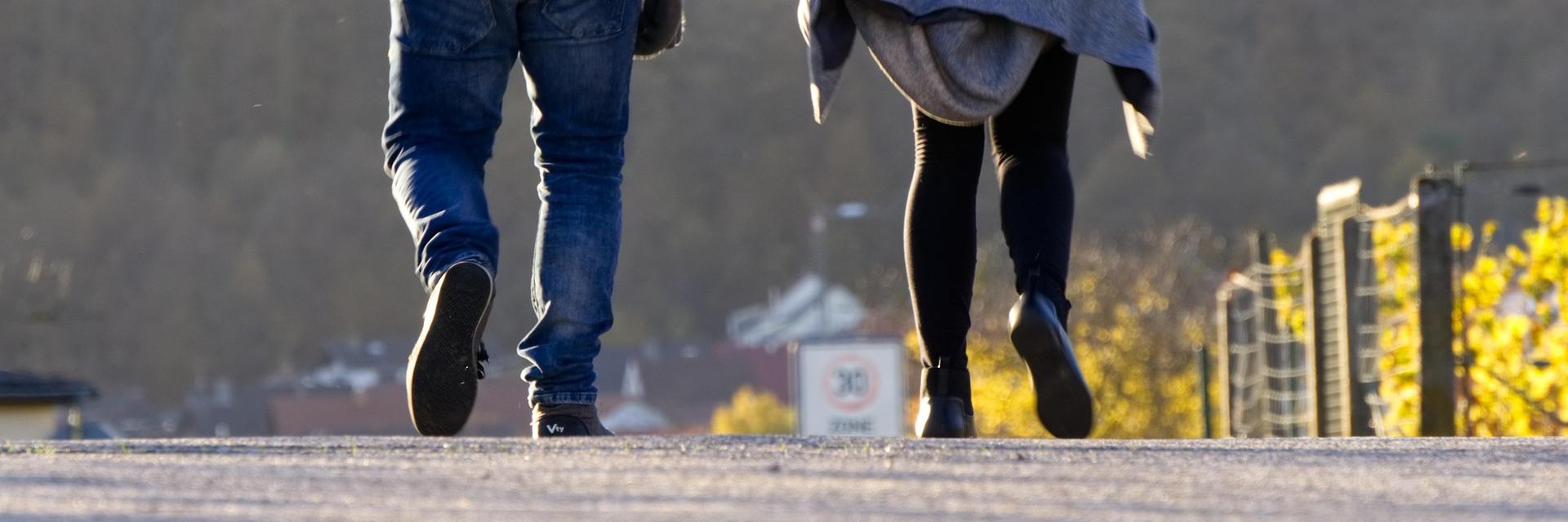 distelapparath-few-3862343_1920